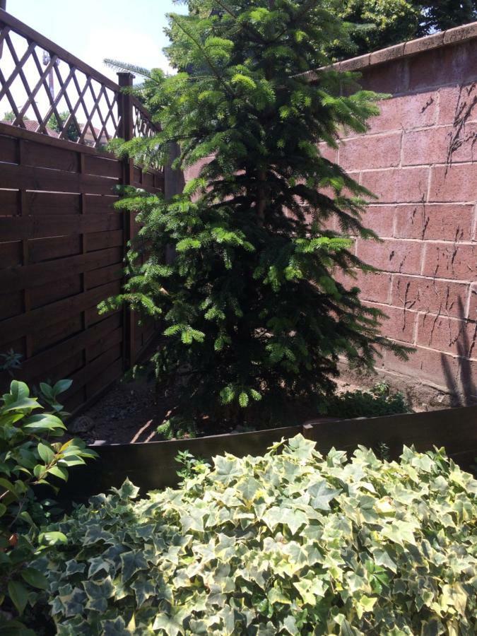 La Porta Nel Giardino Appartement Asti Buitenkant foto