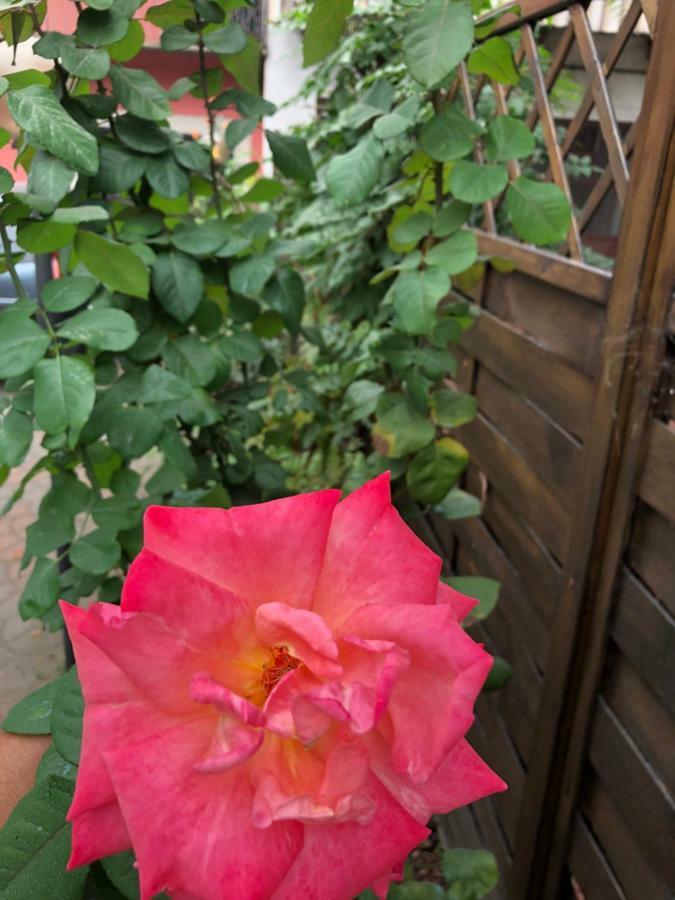 La Porta Nel Giardino Appartement Asti Buitenkant foto